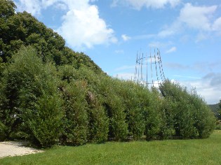 Altm&uuml;hltal-Radweg: Weidenkirche in Pappenheim