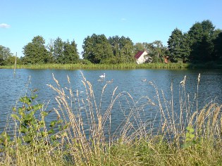 Idylle an einem Teich der Blumberger M&uuml;hle