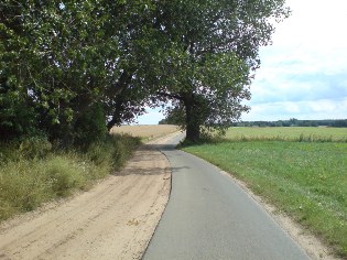 Radweg Berlin - Usedom: Sand f&uuml;r die Kfz, Asphalt f&uuml;r die Velos