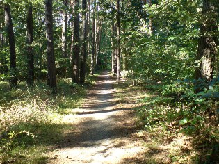 Radweg Berlin - Usedom bei M&ouml;nkebude
