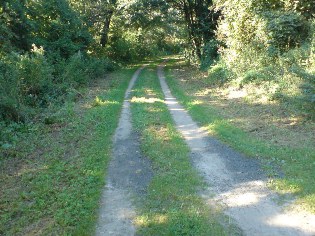 Radweg Berlin - Usedom s&uuml;d&ouml;stlich von Stegelitz