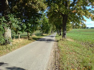 Unterwegs auf dem Ostsee-Radweg in Gro&szlig; Schoritz auf der Insel R&uuml;gen