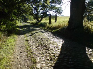 Schlechte Wegstrecke kurz vor Sassnitz - Ostsee-Radweg auf der Insel R&uuml;gen