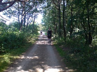 Ostsee-Radweg zwischen Graal-M&uuml;ritz und Neuhaus